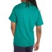 Champion Men's Script Jersey Graphic Green Reef T-Shirt