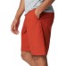 Columbia Men's Washed Out Dark Sienna Shorts