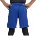 Nike Boys' Trophy Training Game Royal Shorts