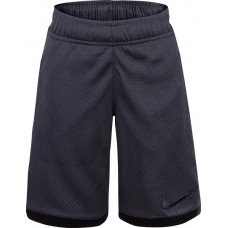 Nike Little Boys' Dri-FIT Trophy Anthracite Shorts