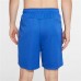 Nike Men's Dri-FIT Training Shorts Game Royal/Blue Void 5.0