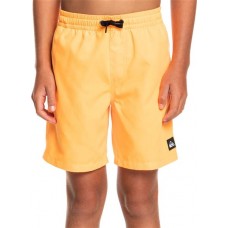 Quiksilver Boys' Everyday Volley 15 Quiksilver Boys' Everyday Volley 15