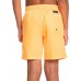 Quiksilver Boys' Everyday Volley 15 Quiksilver Boys' Everyday Volley 15