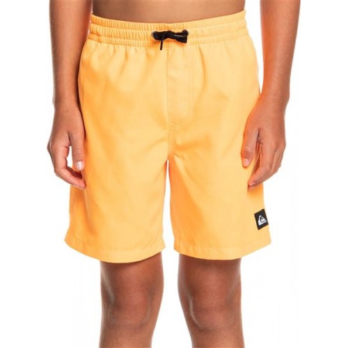 Quiksilver Boys' Everyday Volley 15 Quiksilver Boys' Everyday Volley 15