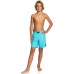 Quiksilver Boys' Everyday Volley 15 Quiksilver Boys' Everyday Volley 15