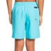 Quiksilver Boys' Everyday Volley 15 Quiksilver Boys' Everyday Volley 15