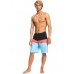 Quiksilver Men's SurfSilk Panel 20 Quiksilver Men's SurfSilk Panel 20