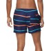 Speedo Men's Vibe Quad Stripe 14 Speedo Men's Vibe Quad Stripe 14