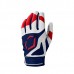 Evoshield Youth SRZ 1 Batting Red/White/Blue Gloves