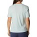 Columbia Women's Bluebird Day Relaxed Crew Neck IcyMornHeatherStackedDtty T-Shirt